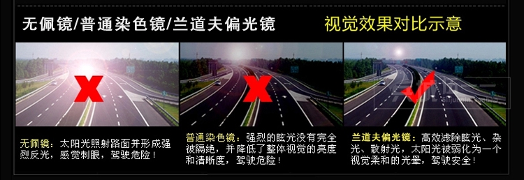 正品美国 Randolph兰道夫/蓝道夫/新款 太阳眼镜 弯臂PC镜偏光