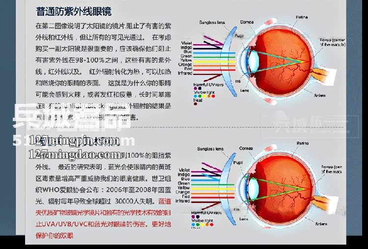 正品美国Randolph兰道夫 飞行员系列 镀膜PC眼镜直柄太阳镜 